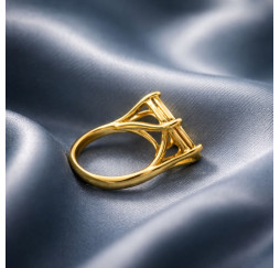 Bague Napoléon 4griffes- Taille du 52 au 69 acier inoxydable